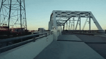 tennessee GIF