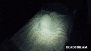 Run Away Haunted House GIF by Deadstream