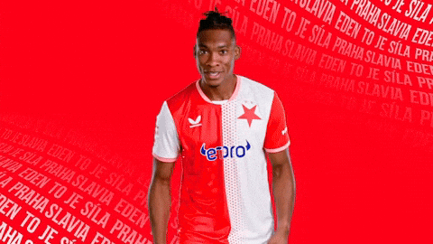 Football Celebration GIF by SK Slavia Praha