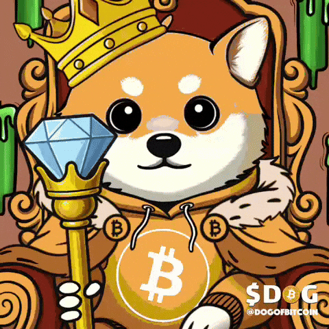 Your Highness Bitcoin GIF by $DOG