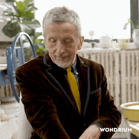 Wondrium color colors brown decor GIF