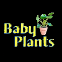 FriendsorFriends kawaii plants houseplants plant parent GIF