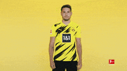 Happy Borussia Dortmund GIF by Bundesliga