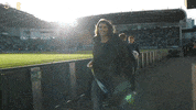 Football Team Gold GIF by Northern Ireland