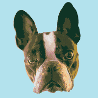 pop art dog GIF by slater