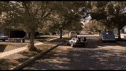 Shiba Inu GIF by SHIB MEMES