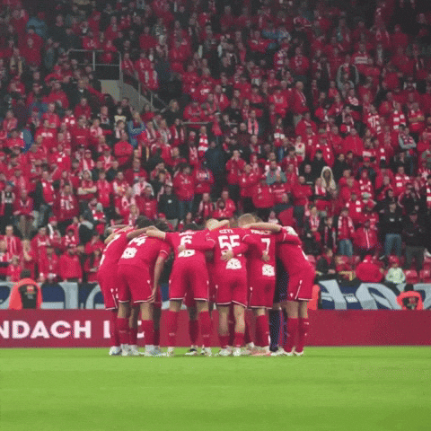 Football Soccer GIF by Widzew Łódź