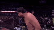 Mixed Martial Arts Sport GIF by UFC