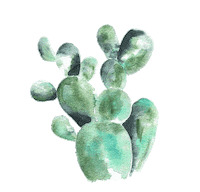 Framehouse cactus watercolor aquarell framehouse Sticker