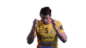 Handball Celebrating Sticker by RiihimäenCocks