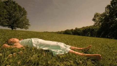 braid GIF by Topshelf Records