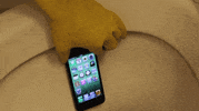 iphone 7 GIF