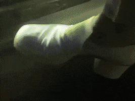 jmsn waiting impatient inferno velvet GIF