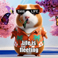Cherry Blossom Beauty GIF by Guinea Gambino
