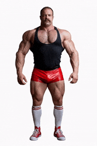 Gay Bear GIF by Database數據