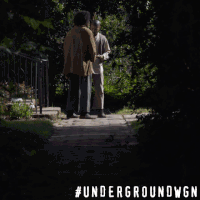 bokeem woodbine drama GIF by Underground