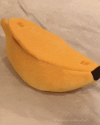 cat sleeping GIF by JustViral.Net