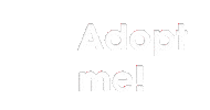 Cat Adopt Sticker by Atlanta Humane Society