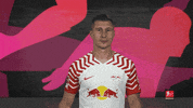 Rb Leipzig Wink GIF by Bundesliga