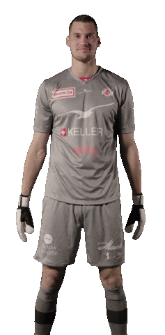 Soccer Raphael Sticker by FC Winterthur