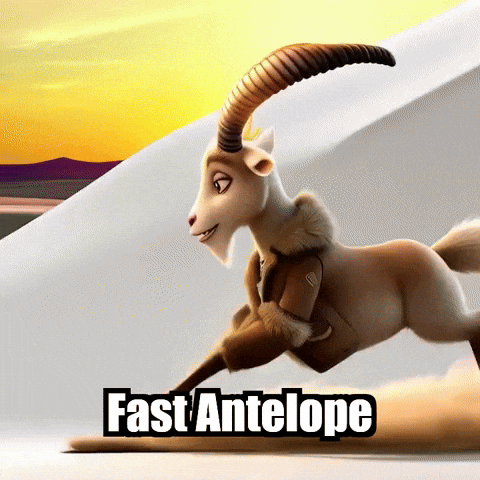 GIF by Radiantelope