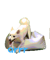 아르르 Sticker by arrr_official