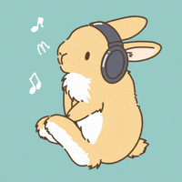 Chill Rabbit GIF
