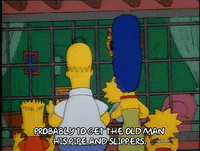 Season 1 GIF by The Simpsons