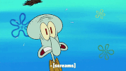 season 10 episode 6 GIF by SpongeBob SquarePants