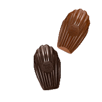 Maison_Colibri chocolat madeleine gourmandise madeleines Sticker