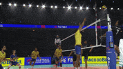 Awesome Brazil GIF by Volleyball World
