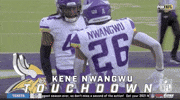 Minnesota Vikings Football GIF by NFL