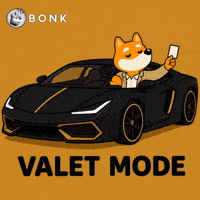 Crypto Gm GIF by BONK