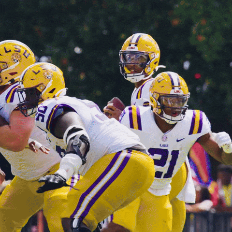 College Football GIF by LSU Tigers