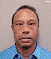 Drunk Tiger Woods GIF