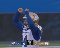 Cfl Celebrate GIF