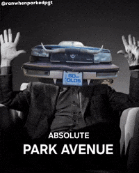 Ranwhenparkedpgt GIF