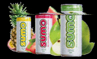sumodrinks sumo sumodrinks GIF