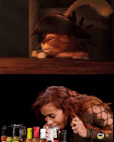 Cats Drinks GIF by 333 MUSIC LLC