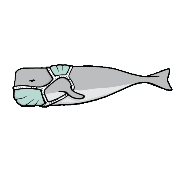 TAJLUCAS giphyupload Sticker
