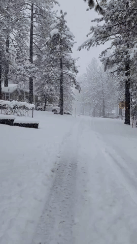 California Storm Dumps Deep Snow on Elevated Areas