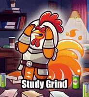 Exams Allnighter GIF by Zorooster