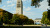 GIF by Michigan Athletics