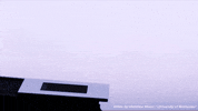 loop water GIF by Science Friday
