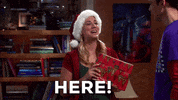 Season 2 Christmas GIF by The Big Bang Theory