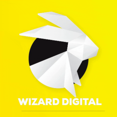 wizarddigital giphygifmaker giphyattribution wizard digital GIF