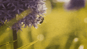 Landing Lift Me Up GIF by starkl gifs