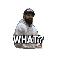 kyle1ca what what did you just say kyle24 kyle nunes medeiros Sticker