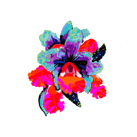 Saudades Sticker by HeZza FeZza