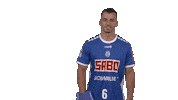 Handball-Bundesliga Sport Sticker by LIQUI MOLY HBL